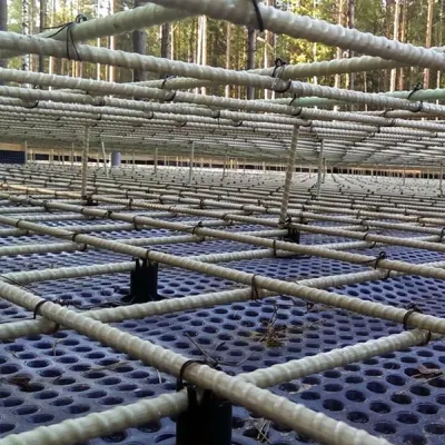 Rebar reforçado com fibra de basalto de alta resistência/ Rebar de fibra de carbono Bfrp